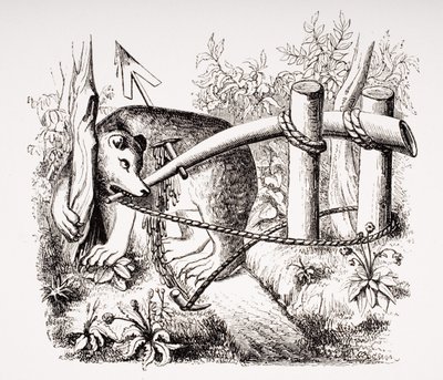 Comment attraper des ours et autres bêtes avec une fléchette, d